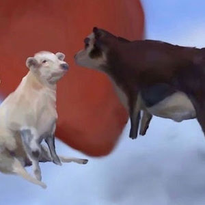 Meet your Posher, Alan